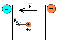 CICLO_2.gif (1890 bytes)