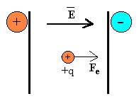 CICLO_3.gif (1915 bytes)