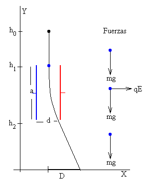 semilla.gif (3403 bytes)