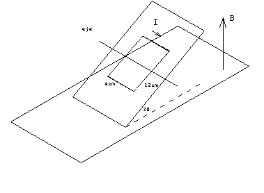 magnetico_01a.gif (2919 bytes)