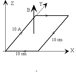 magnetico_10.gif (2393 bytes)
