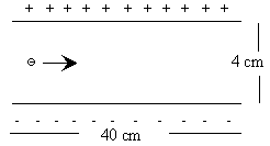 magnetico_13.gif (1520 bytes)