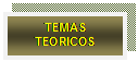Cuadro de texto: TEMAS TEORICOS